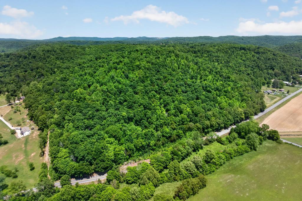Image 1: Main View