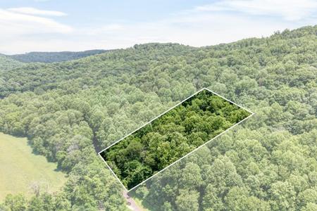 1088 Lee Hollow Rd