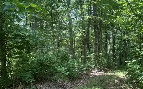 W Of Ward Fork Rd