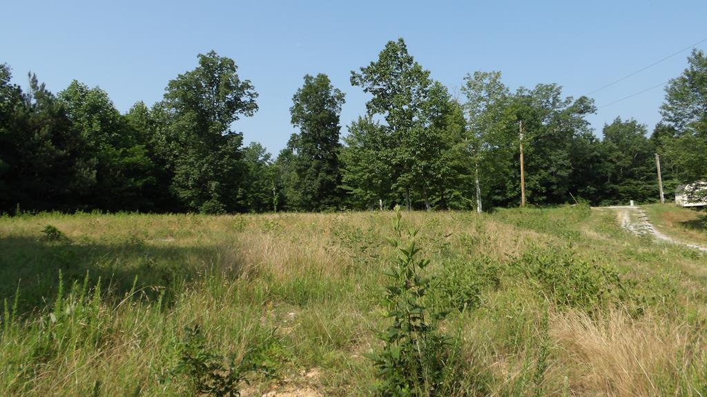 Image 1: Main View