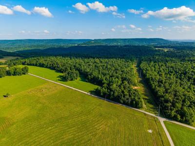 82 Ac. Linder Mountain Rd.
