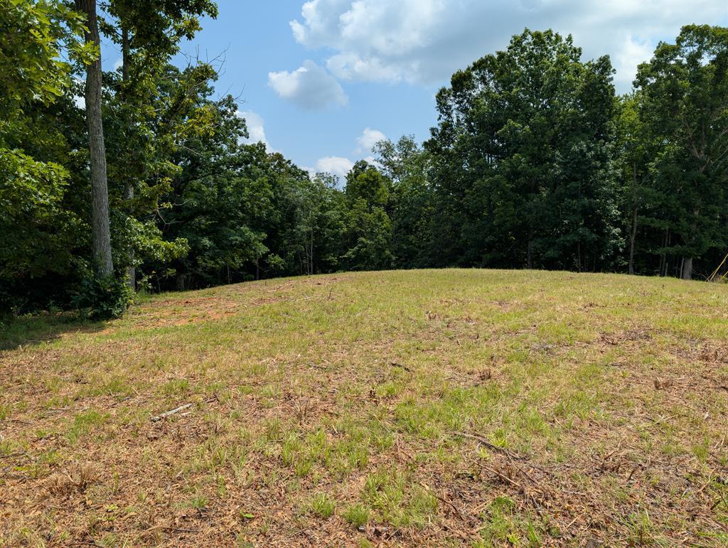 Image 1: Main View