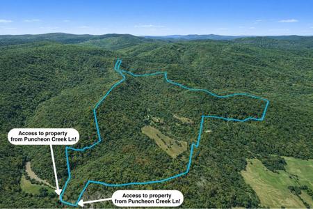 700Acres Puncheon Creek Lane