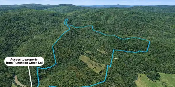 700Acres Puncheon Creek Lane