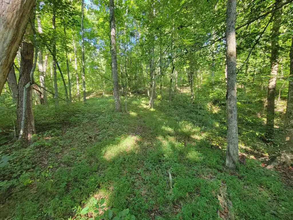 Image 1: Main View