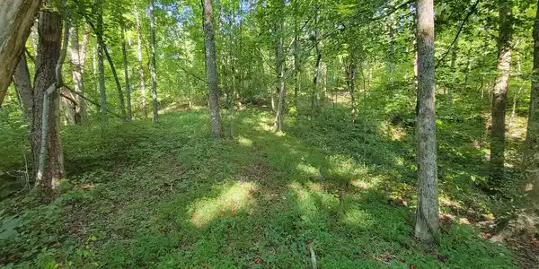 Lot 24 Russell Road