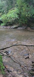 150 Acre Prong Of Clear Fork