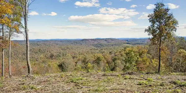 Tract 5 Off Of Sheep Ranch Road