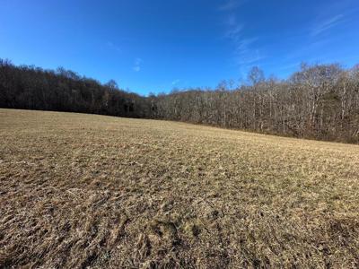 Whites Cave Rd