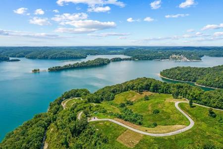 .81 AC Bald Eagle Lane