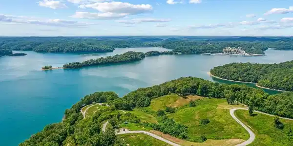 .81 AC Bald Eagle Lane