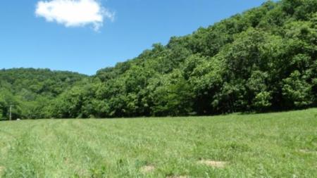 Brimstone Creek Rd