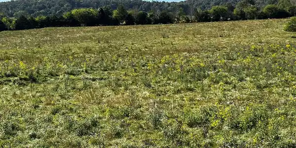 Hickory Valley Rd
