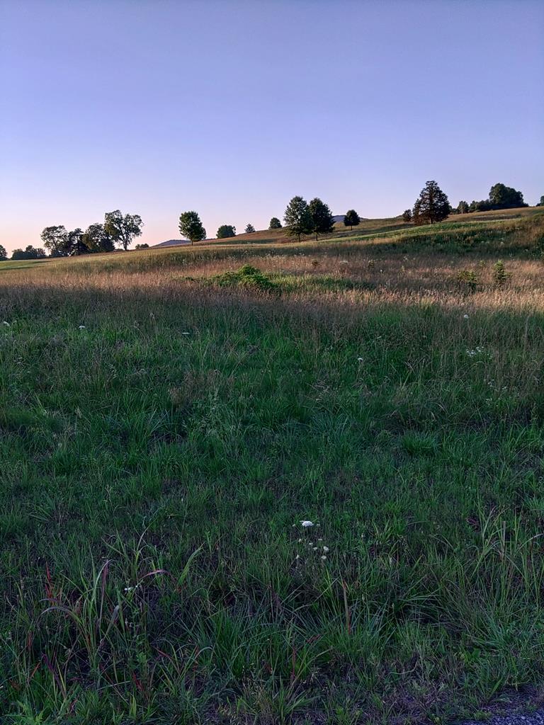 Image 1: Main View