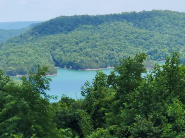 Image 1: Main View