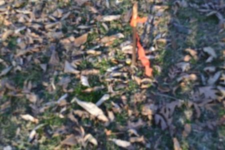 5.52ac Cabin Hill Rd