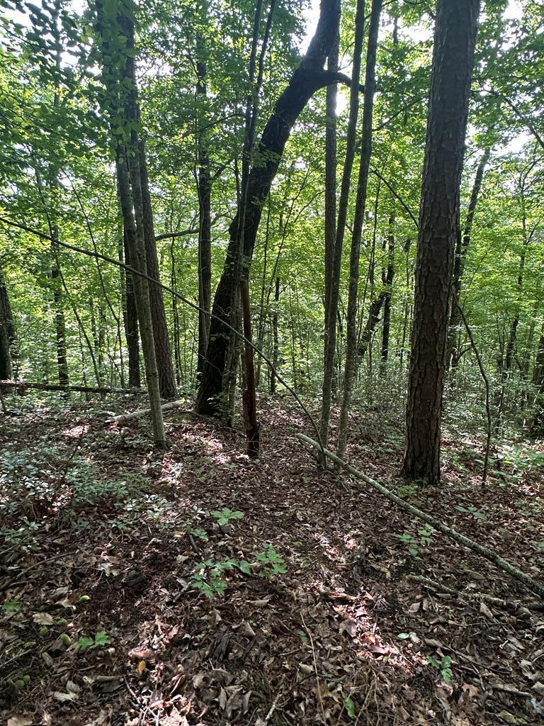 Image 1: Main View