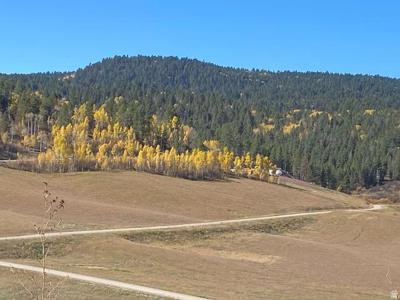 14 ELK WATCH LN