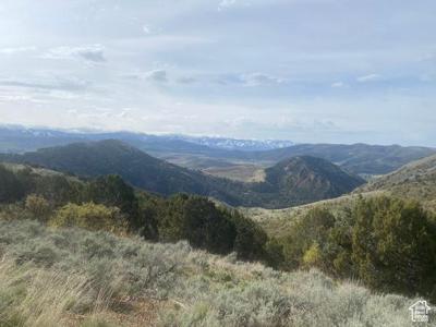 7 BEAR RIVER