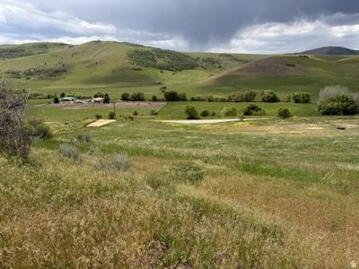 6876 HWY 36