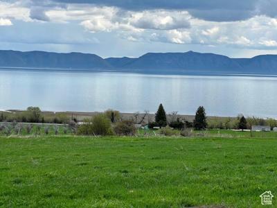 281 GENTLE BEN RD