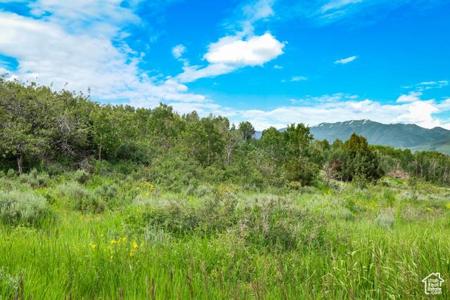 GREEN CANYON RD