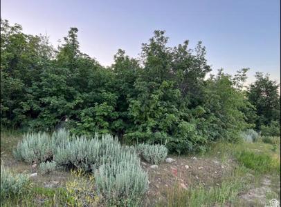 58 JUNIPER DR