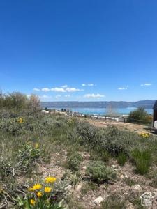 374 BEAR LAKE LN
