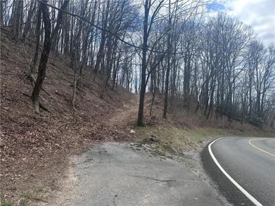 00 Flintrock Knob Lane