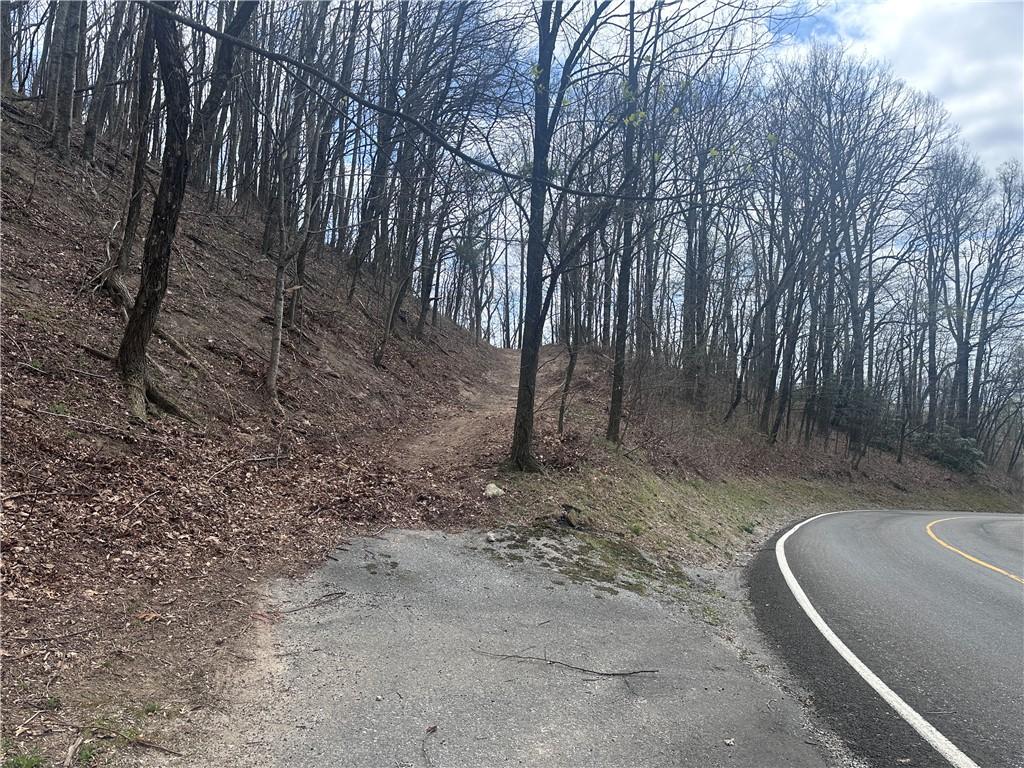 Image 1: Scenic wooded parcel offering direct road access a
