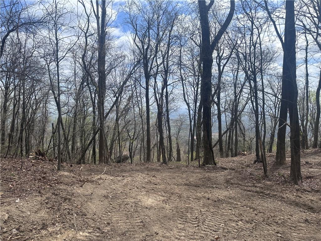 Image 2: This expansive wooded lot provides a serene settin
