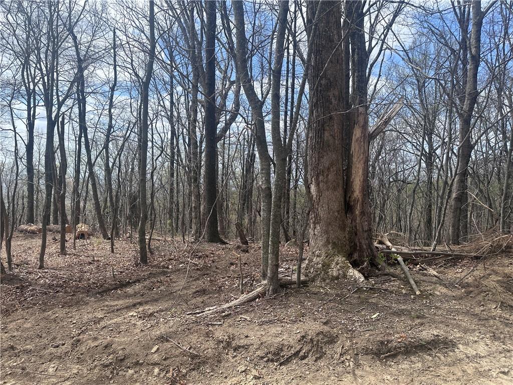 Image 3: This expansive wooded lot provides a serene natura