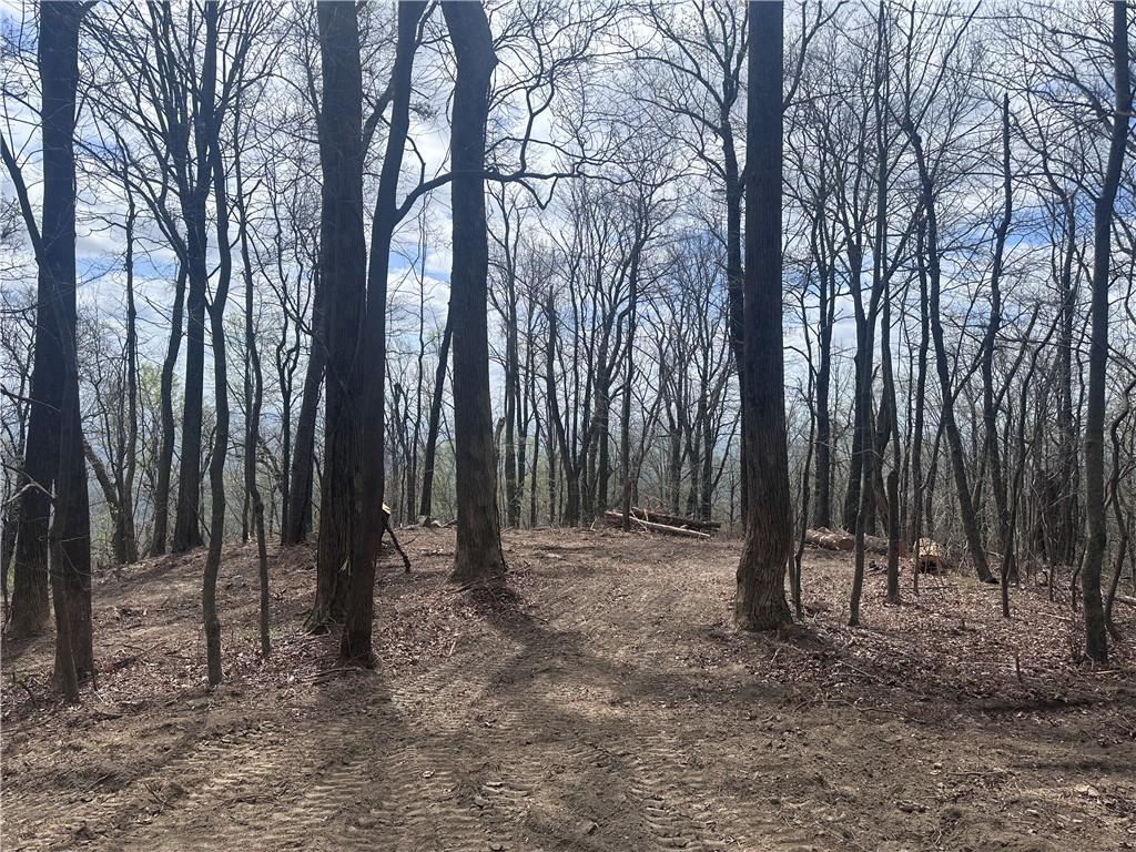 Image 4: This scenic woodland parcel offers an expansive vi
