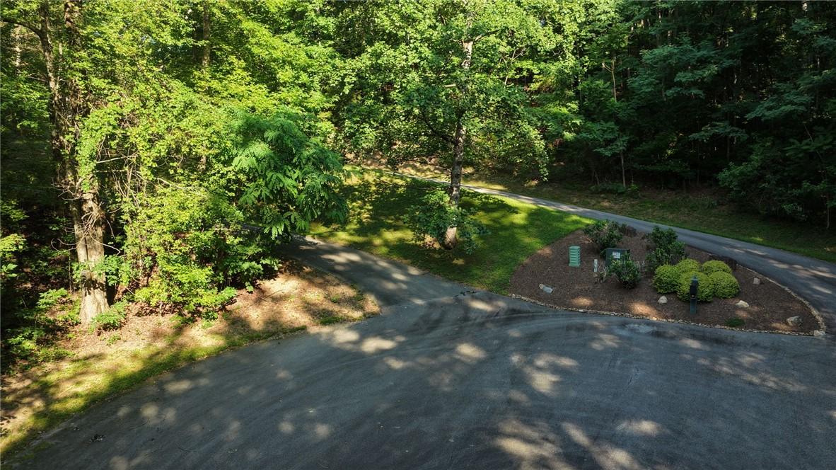 Image 3: A verdant, tree-lined landscape offers a paved roa