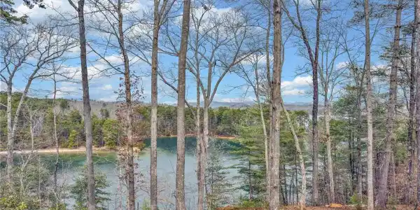 731 Barberry Court