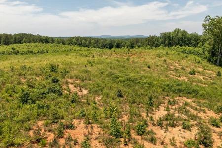 554 Poplar Springs Road