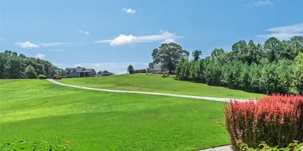 Image 2: A winding paved driveway traverses lush green acre