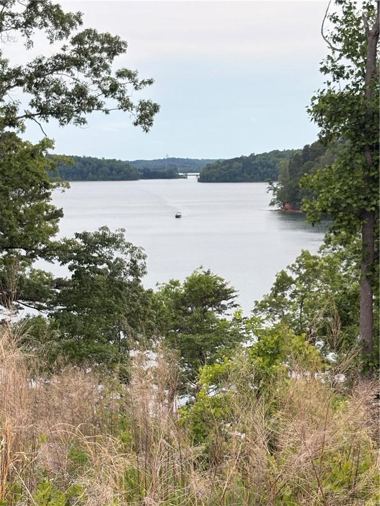 Image 1: A tranquil lake keoweescene with lush greenery fra