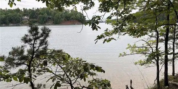 Image 2: A peaceful lakeside setting with lush trees frames