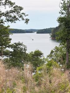 #3 Warpath Ridge Trail