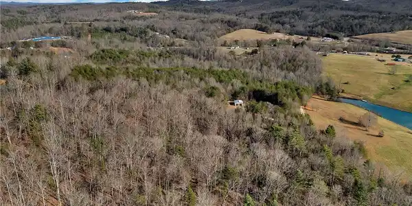 Image 2: Beautiful Drive into Property