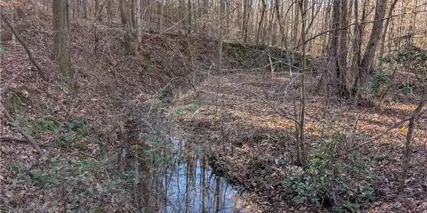 Image 4: 3 Creeks on Property