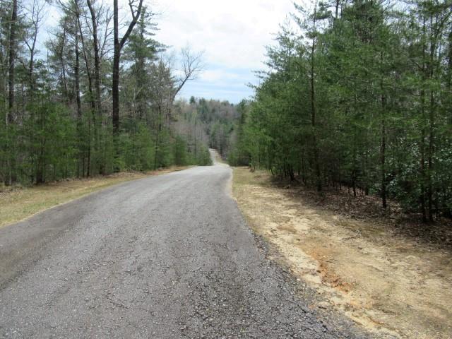 Image 1: A tranquil, tree-lined road invites exploration in