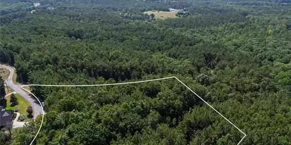 Image 2: Panoramic forest views extend from this expansive