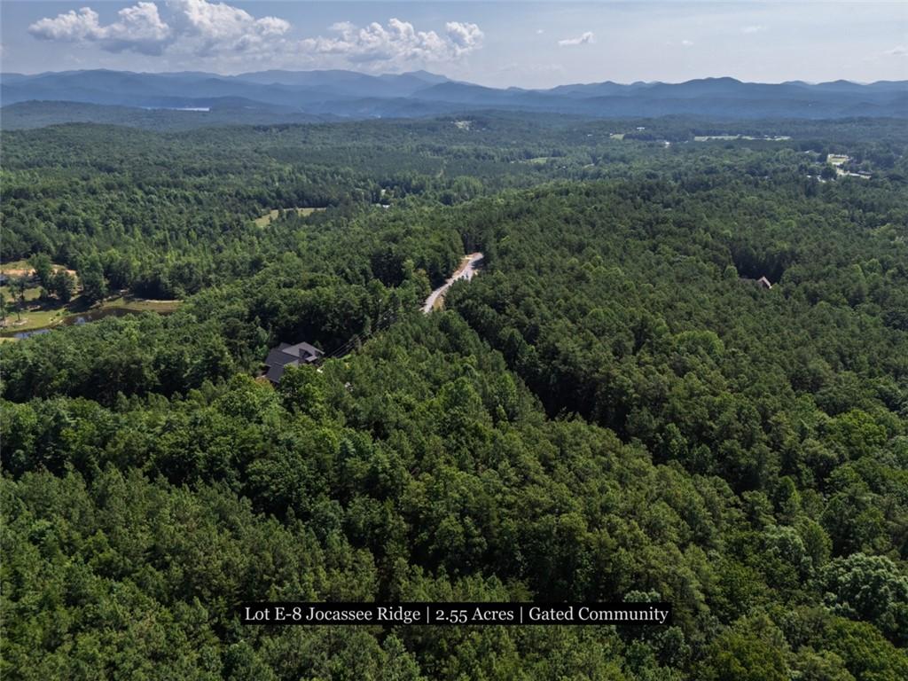 Image 4: Vast, verdant forest expanses meet distant mountai