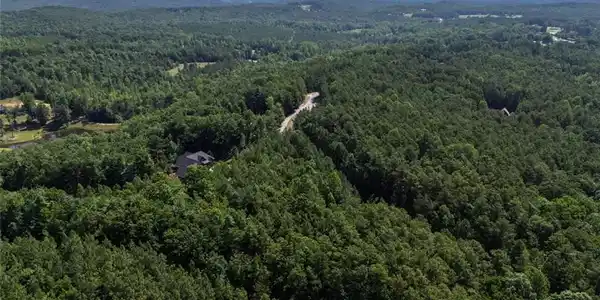 Image 4: Vast, verdant forest expanses meet distant mountai