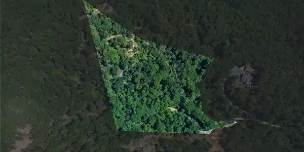 Image 2: A verdant, expansive parcel nestled amidst a lush,
