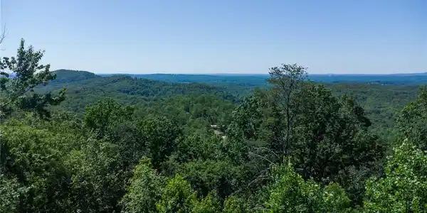 Image 4: Panoramic forest vistas stretch into the distance,