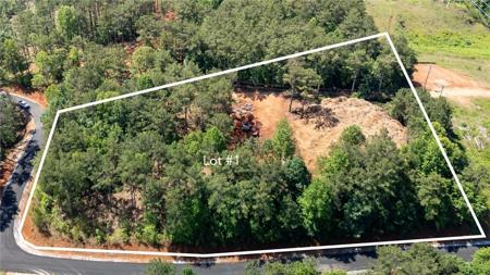 Lot 1 Canebrake Estates