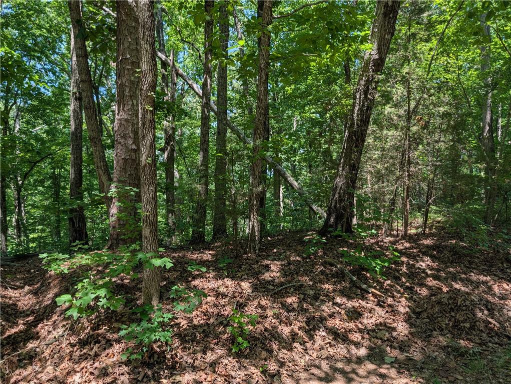 Image 2: A tranquil wooded lot offers a private, naturally
